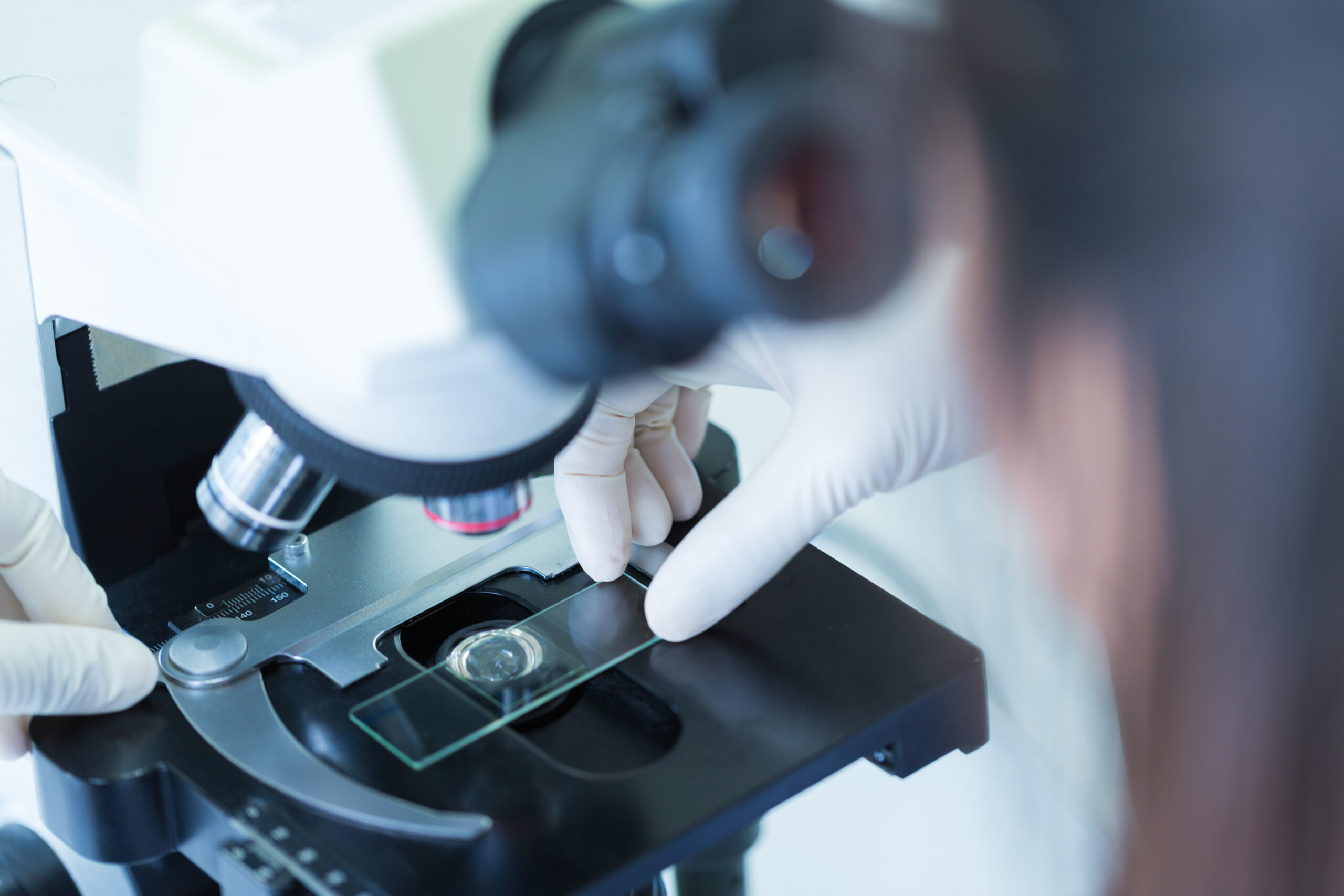 Zamów kuriera - Kontakt Animallab Laboratoria Weterynaryjne
